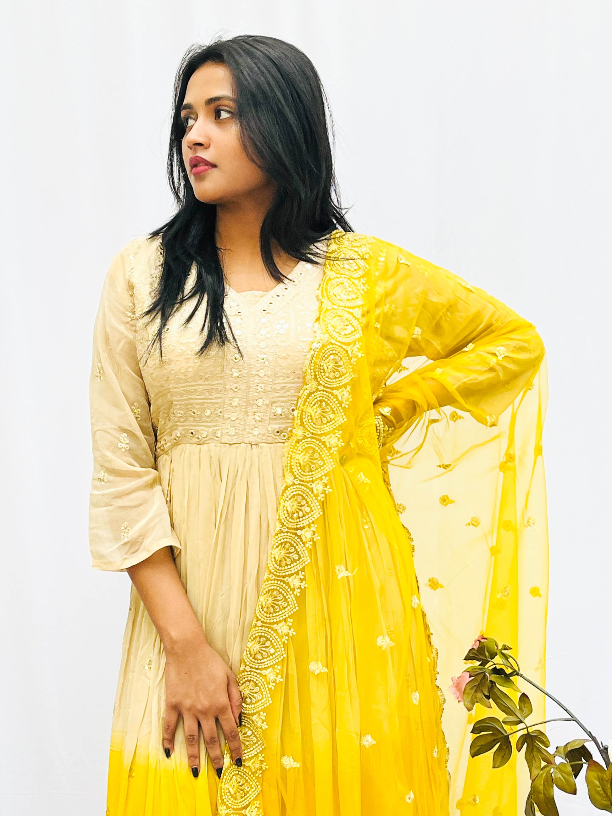 EMBROIDERED OMBRÉ DRESS WITH DUPUTTA (no pants) BESU INDIA