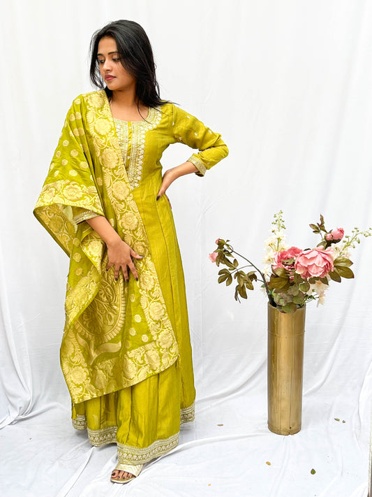BROCADE EMBROIDERED DRESS AND DUPUTTA (no pants) BESU INDIA