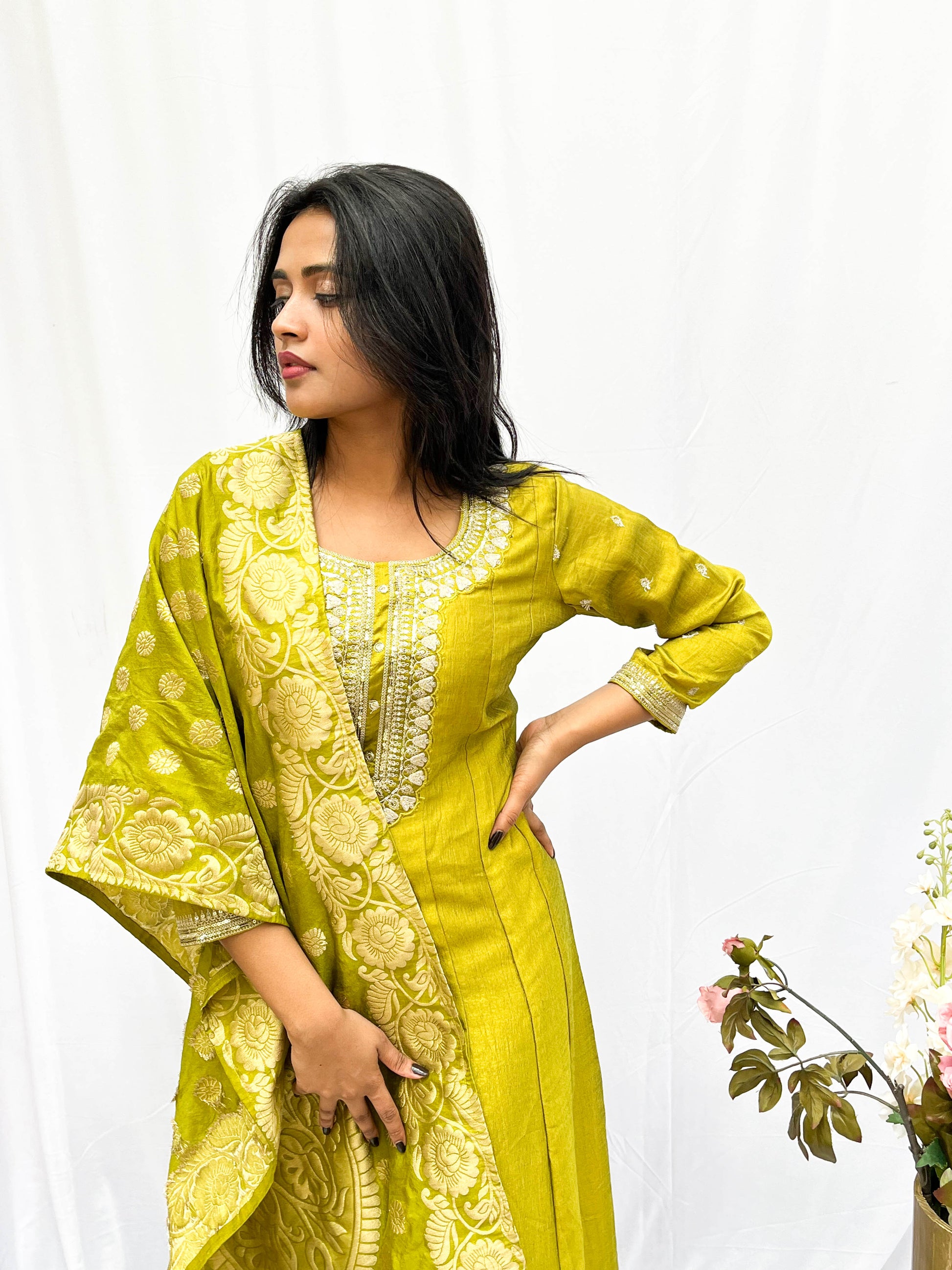 BROCADE EMBROIDERED DRESS AND DUPUTTA (no pants) BESU INDIA